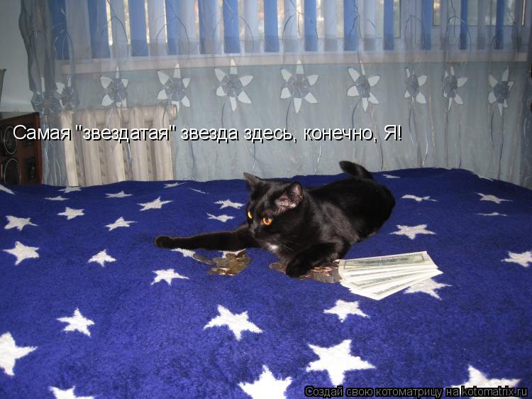Котоматрица: Самая "звездатая" звезда здесь, конечно, Я!