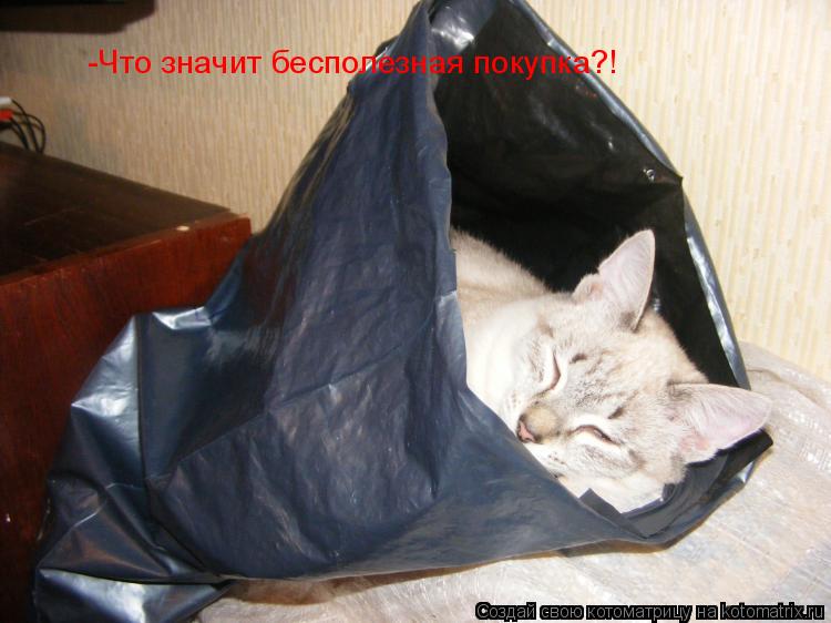 -Что значит бесполезная покупка?!... Котоматрица: -Что значит бесполезная покупка?!