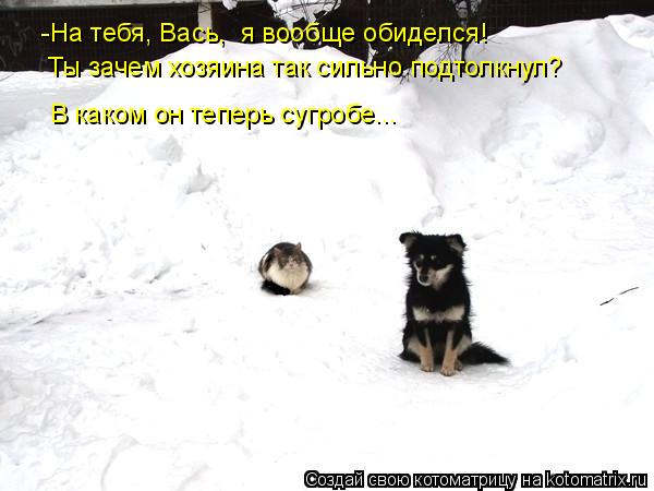 -На тебя, Вась, я вообще обиделся! Ты зачем хозяина так сильно подтолкнул? В каком он теперь сугроб... Котоматрица: -На тебя, Вась, я вообще обиделся! Ты зачем хозяина так сильно подтолкнул? В каком он теперь сугробе...