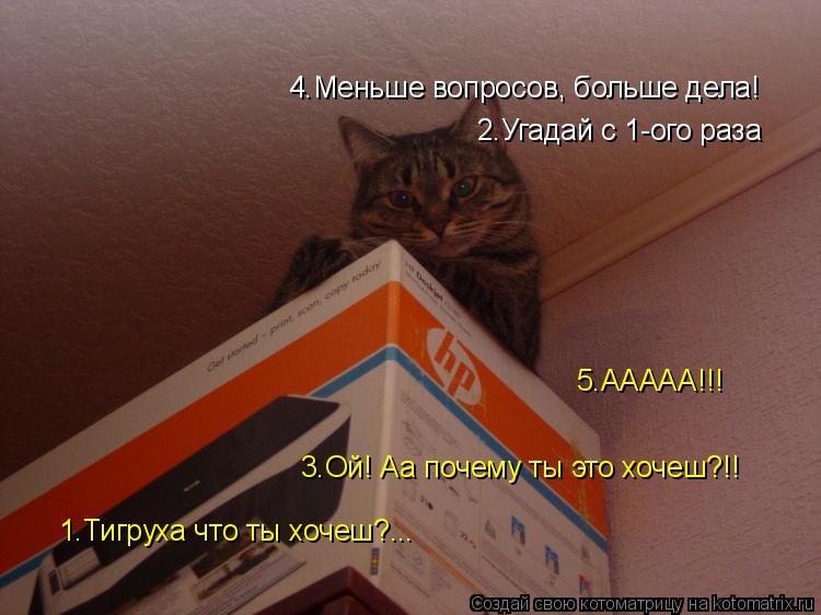 1.Тигруха что ты хочеш?... 4.Меньше вопросов, больше дела! 2.Угадай с 1-ого раза 3.Ой! Аа почему ты э... Котоматрица: 1.Тигруха что ты хочеш?... 4.Меньше вопросов, больше дела! 2.Угадай с 1-ого раза 3.Ой! Аа почему ты это хочеш?!! 5.ААААА!!!