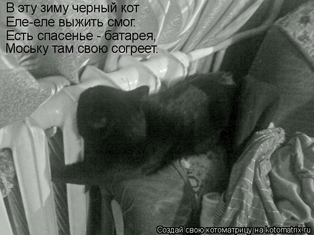 Котоматрица: В эту зиму черный кот Еле-еле выжить смог. Есть спасенье - батарея, Моську там свою согреет.