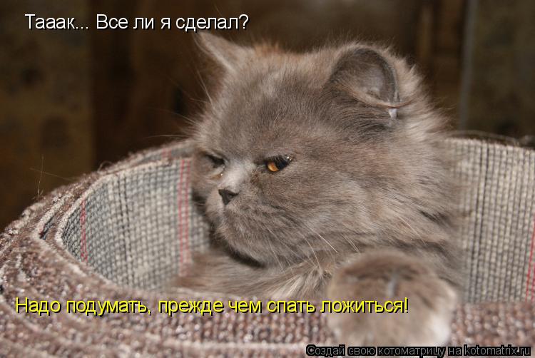 Тааак... Все ли я сделал? Надо подумать, прежде чем спать ложиться!... Котоматрица: Тааак... Все ли я сделал? Надо подумать, прежде чем спать ложиться!