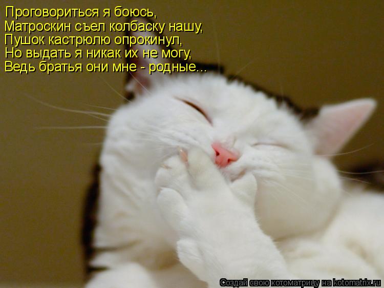 Котоматрица: Проговориться я боюсь, Матроскин съел колбаску нашу, Пушок кастрюлю опрокинул, Но выдать я никак их не могу, Ведь братья они мне - родные...