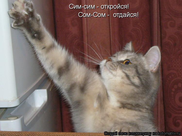 Котоматрица: Сим-сим - откройся! Сом-Сом -  отдайся!