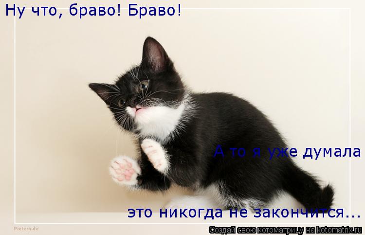 Ну что, браво! Браво! А то я уже думала это никогда не закончится...... Котоматрица: Ну что, браво! Браво! А то я уже думала это никогда не закончится...