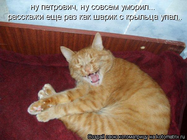 ну петрович, ну совсем уморил... расскажи еще раз как шарик с крыльца упал..... Котоматрица: ну петрович, ну совсем уморил... расскажи еще раз как шарик с крыльца упал..