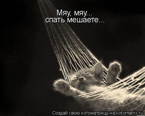Котоматрица: Мяу, мяу...  спать мешаете...