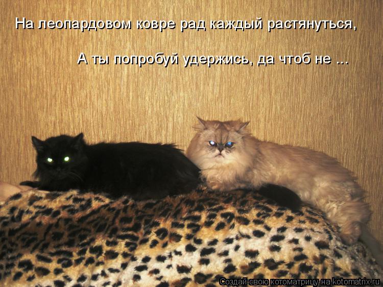 На леопардовом ковре рад каждый растянуться, А ты попробуй удержись, да чтоб не ...... Котоматрица: На леопардовом ковре рад каждый растянуться, А ты попробуй удержись, да чтоб не ...