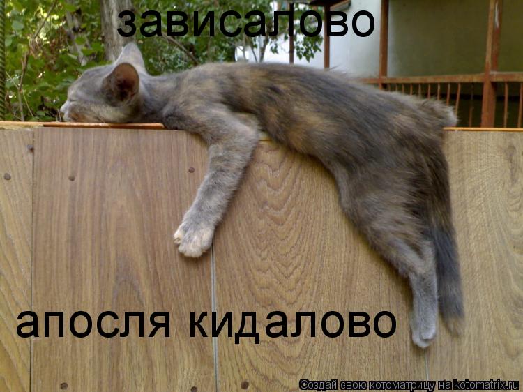 Котоматрица: зависалово апосля кидалово