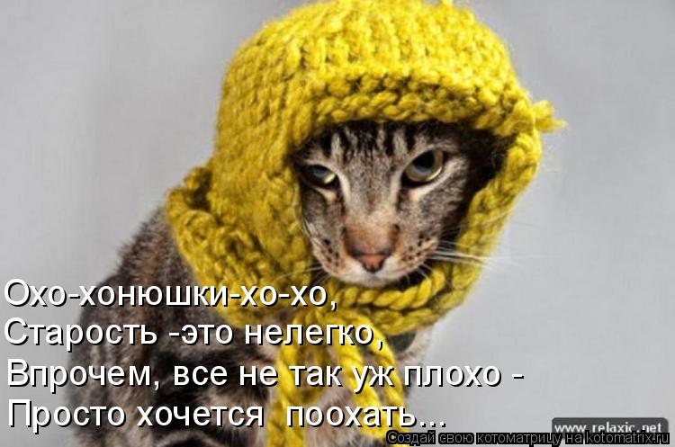 Охо-хонюшки-хо-хо, Просто хочется поохать... Старость -это нелегко, Впрочем, все не так уж плохо -... Котоматрица: Охо-хонюшки-хо-хо, Просто хочется поохать... Старость -это нелегко, Впрочем, все не так уж плохо -