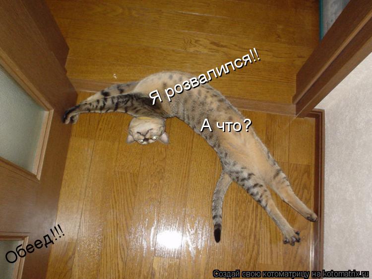 Я розвалился!! Обеед!!! А что?... Котоматрица: Я розвалился!! Обеед!!! А что?