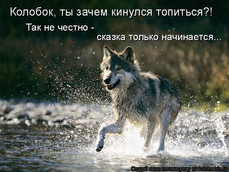 Котоматрица: Колобок, ты зачем кинулся топиться?! Так не честно -  сказка только начинается...