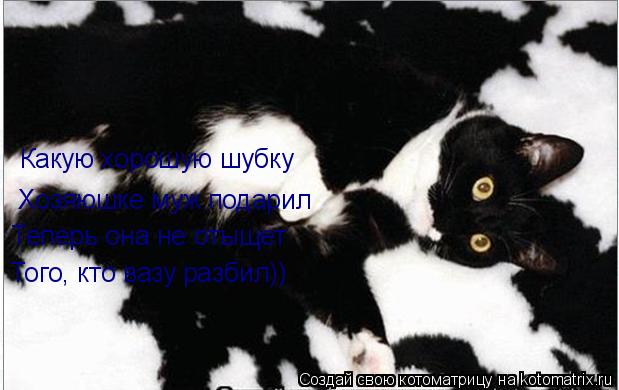 Какую хорошую шубку Хозяюшке муж подарил Теперь она не отыщет Того, кто вазу разбил))... Котоматрица: Какую хорошую шубку Хозяюшке муж подарил Теперь она не отыщет Того, кто вазу разбил))