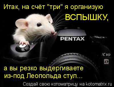 Итак, на счёт "три" я организую ВСПЫШКУ, из-под Леопольда стул... а вы резко выдергиваете... Котоматрица: Итак, на счёт "три" я организую ВСПЫШКУ, из-под Леопольда стул... а вы резко выдергиваете