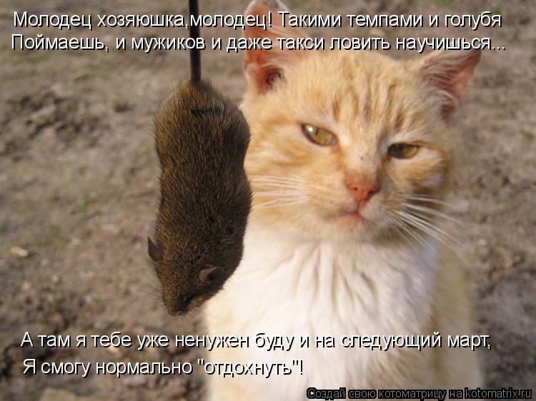 Котоматрица: Молодец хозяюшка,молодец! Такими темпами и голубя Поймаешь, и мужиков и даже такси ловить научишься... А там я тебе уже ненужен буду и на след