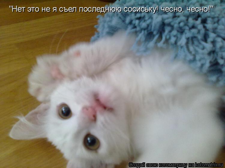 "Нет это не я съел последнюю сосиську! чесно, чесно!"... Котоматрица: "Нет это не я съел последнюю сосиську! чесно, чесно!"