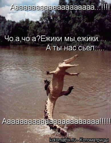 Аааааааааааааааааааа...!!!!!Чо а,чо а?Ежики мы,ежики.... Чо а,чо а?Ежики мы,ежики.... А ты нас сьел..... Котоматрица: Аааааааааааааааааааа...!!!!!Чо а,чо а?Ежики мы,ежики.... Чо а,чо а?Ежики мы,ежики.... А ты нас сьел..... Ааааааааааааааааааааааа!!!!!........