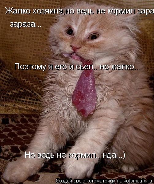 Котоматрица: Жалко хозяина,но ведь не кормил зараза... зараза... Поэтому я его и сьел...но жалко... Но ведь не кормил...нда...)