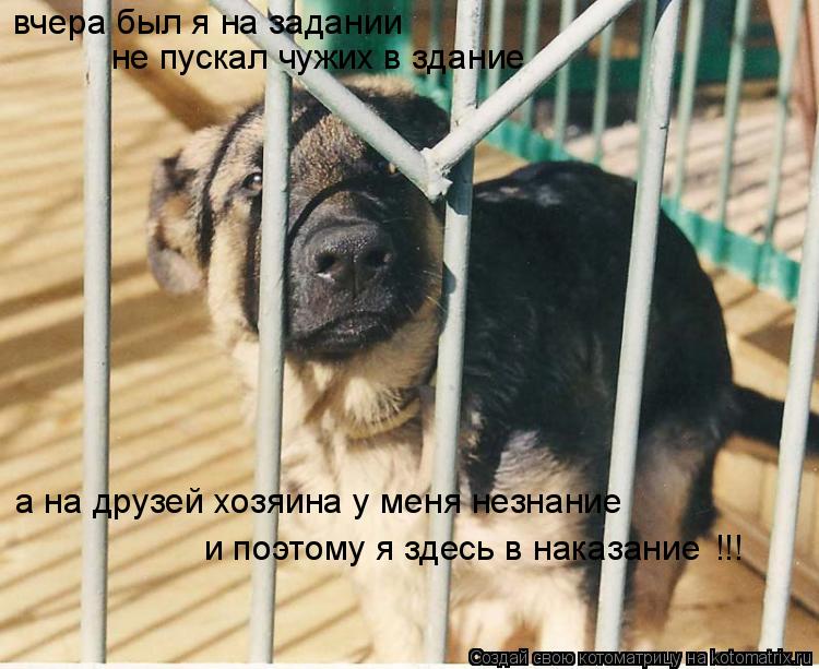 Котоматрица: вчера был я на задании не пускал чужих в здание а на друзей хозяина у меня незнание и поэтому я здесь в наказание !!!