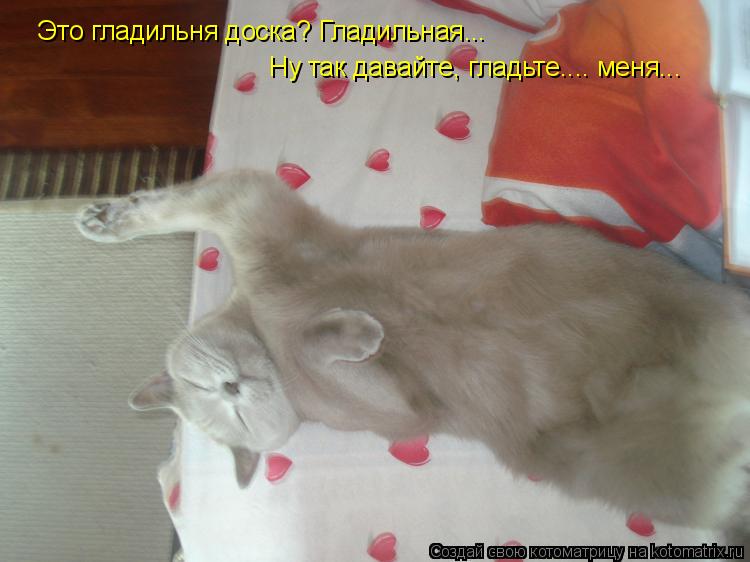 Котоматрица: Это гладильня доска? Гладильная... Ну так давайте, гладьте.... меня...