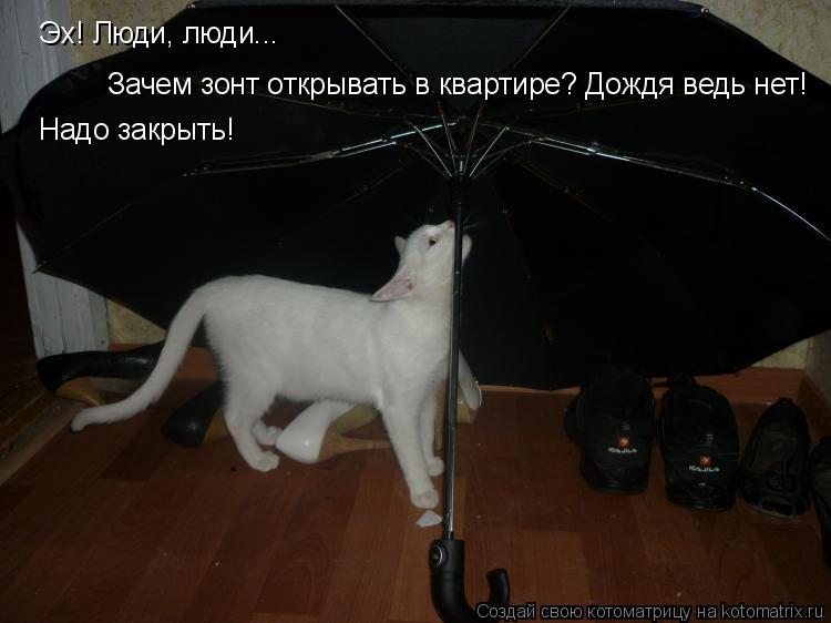 Эх! Люди, люди... Зачем зонт открывать в квартире? Дождя ведь нет! Надо закрыть!... Котоматрица: Эх! Люди, люди... Зачем зонт открывать в квартире? Дождя ведь нет! Надо закрыть!