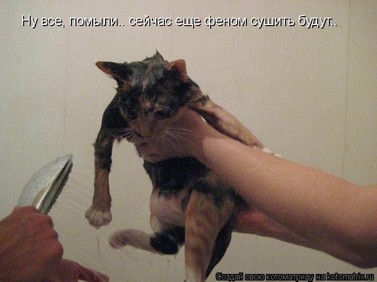 Ну все, помыли.. сейчас еще феном сушить будут..... Котоматрица: Ну все, помыли.. сейчас еще феном сушить будут..