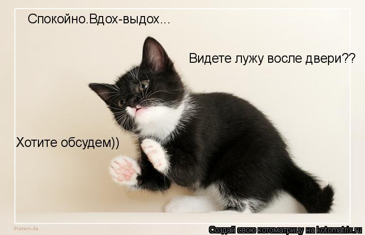 Котоматрица: Спокойно.Вдох-выдох... Видете лужу восле двери?? Хотите обсудем))