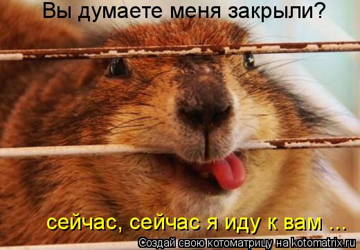 Вы думаете меня закрыли? сейчас, сейчас я иду к вам ...... Котоматрица: Вы думаете меня закрыли? сейчас, сейчас я иду к вам ...