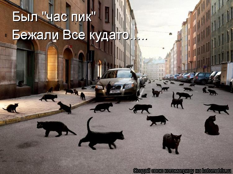 Был "час пик" Бежали Все кудато........ Котоматрица: Был "час пик" Бежали Все кудато.....