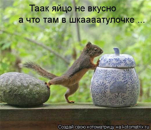 Таак яйцо не вкусно а что там в шкаааатулочке ...... Котоматрица: Таак яйцо не вкусно а что там в шкаааатулочке ...