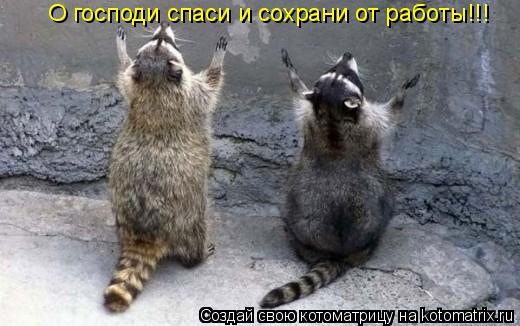 Котоматрица: О господи спаси и сохрани от работы!!!
