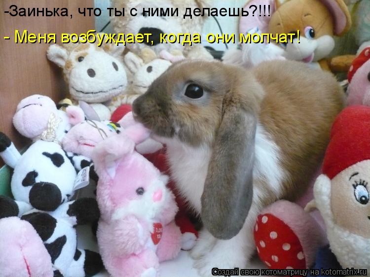 Котоматрица: -Заинька, что ты с ними делаешь?!!! - Меня возбуждает, когда они молчат!