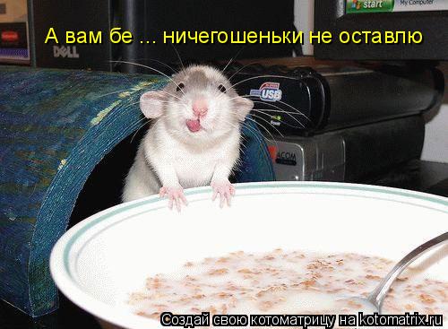 А вам бе ... ничегошеньки не оставлю... Котоматрица: А вам бе ... ничегошеньки не оставлю