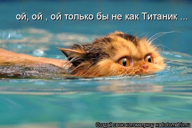 ой, ой , ой только бы не как Титаник ...... Котоматрица: ой, ой , ой только бы не как Титаник ...