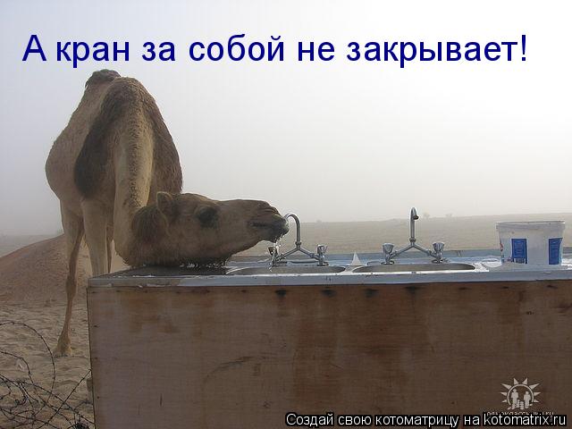 Котоматрица: А кран за собой не закрывает!