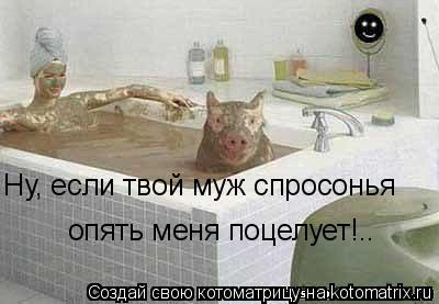 Котоматрица: Ну, если твой муж спросонья опять меня поцелует!..