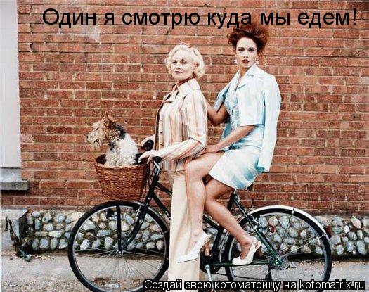 Котоматрица: Один я смотрю куда мы едем!