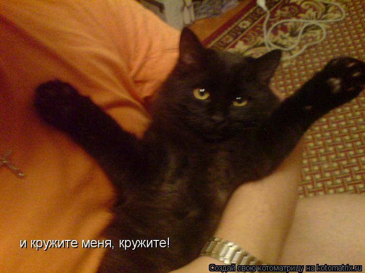 Котоматрица: и кружите меня, кружите!