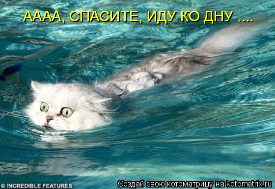 Котоматрица: АААА, СПАСИТЕ, ИДУ КО ДНУ ....