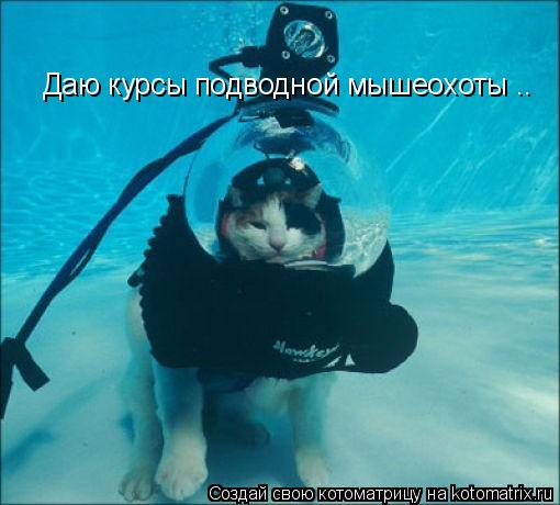 Даю курсы подводной мышеохоты ..... Котоматрица: Даю курсы подводной мышеохоты ..