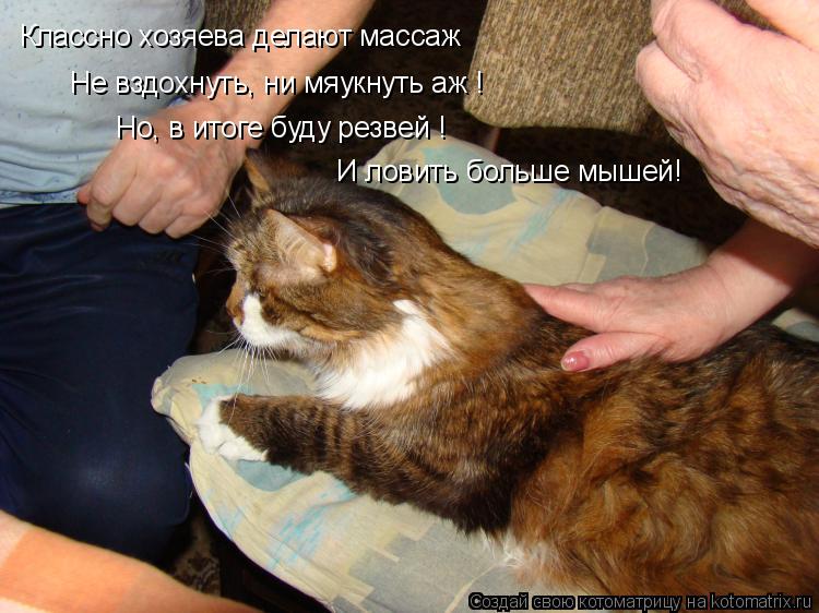 Классно хозяева делают массаж Не вздохнуть, ни мяукнуть аж ! Но, в итоге буду резвей ! И ловить больш... Котоматрица: Классно хозяева делают массаж Не вздохнуть, ни мяукнуть аж ! Но, в итоге буду резвей ! И ловить больше мышей!