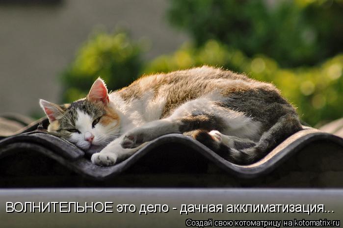 http://kotomatrix.ru/images/lolz/2011/05/11/905009.jpg