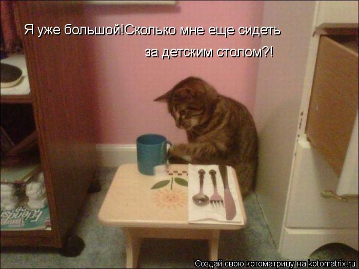 Котоматрица: Я уже большой!Сколько мне еще сидеть за детским столом?!
