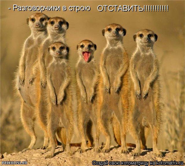 - Разговорчики в строю ОТСТАВИТЬ!!!!!!!!!!!... Котоматрица: - Разговорчики в строю ОТСТАВИТЬ!!!!!!!!!!!