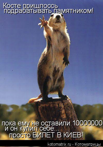 Котоматрица: Косте пришлоссь подрабатывать памятником! пока ему не оставили 10000000 и он купил себе... просто БИЛЕТ В КИЕВ!