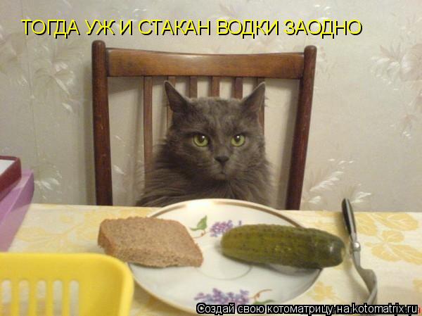 ТОГДА УЖ И СТАКАН ВОДКИ ЗАОДНО... Котоматрица: ТОГДА УЖ И СТАКАН ВОДКИ ЗАОДНО