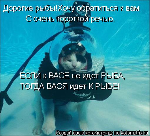 Дорогие рыбы!Хочу обратиться к вам С очень короткой речью. ЕСЛИ к ВАСЕ не идет РЫБА, ТОГДА ВАСЯ идет ... Котоматрица: Дорогие рыбы!Хочу обратиться к вам С очень короткой речью. ЕСЛИ к ВАСЕ не идет РЫБА, ТОГДА ВАСЯ идет К РЫБЕ!