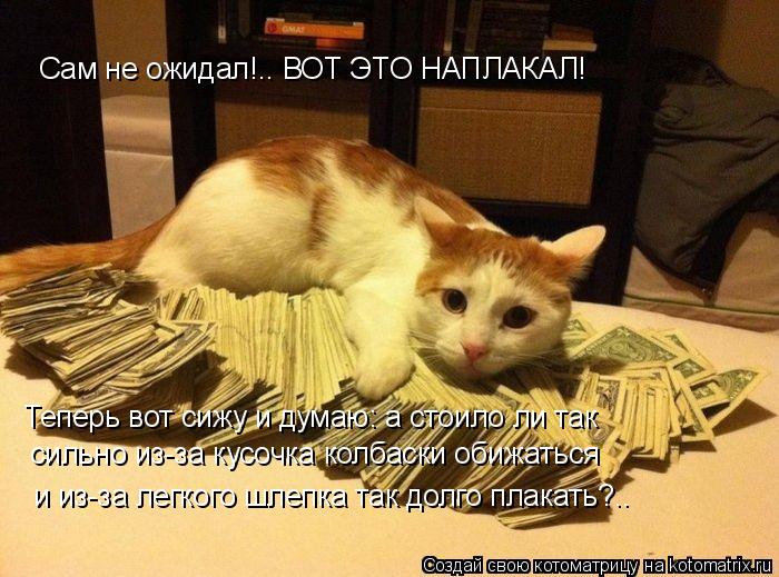 Сам не ожидал!.. ВОТ ЭТО НАПЛАКАЛ! Теперь вот сижу и думаю: а стоило ли так сильно из-за кусочка колб... Котоматрица: Сам не ожидал!.. ВОТ ЭТО НАПЛАКАЛ! Теперь вот сижу и думаю: а стоило ли так сильно из-за кусочка колбаски обижаться и из-за легкого шлепка так