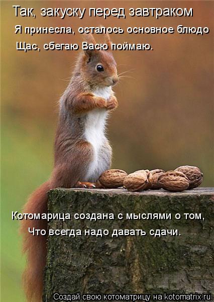 Так, закуску перед завтраком Я принесла, осталось основное блюдо Щас, сбегаю Васю поймаю. Котомарица ... Котоматрица: Так, закуску перед завтраком Я принесла, осталось основное блюдо Щас, сбегаю Васю поймаю. Котомарица создана с мыслями о том, Что всегда над