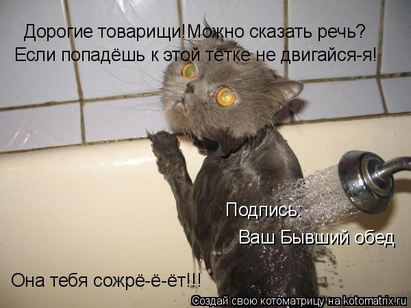 Дорогие товарищи!Можно сказать речь? Если попадёшь к этой тётке не двигайся-я! Она тебя сожрё-ё-ёт!!!... Котоматрица: Дорогие товарищи!Можно сказать речь? Если попадёшь к этой тётке не двигайся-я! Она тебя сожрё-ё-ёт!!! Подпись: Ваш Бывший обед